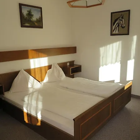 Haus Enzian Lägenhet Sankt Johann im Pongau