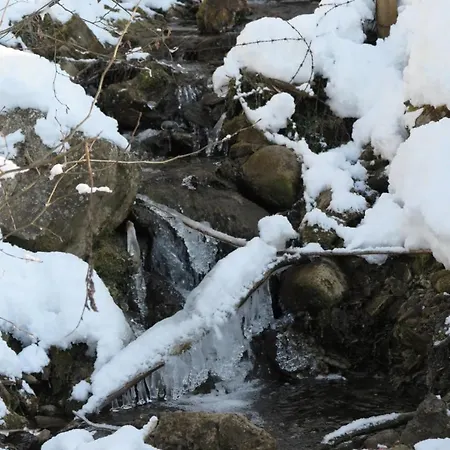 Haus Enzian Apartamento