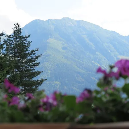 Haus Enzian * Sankt Johann im Pongau