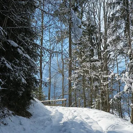 Apartamento Haus Enzian *