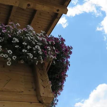 Lägenhet Haus Enzian Sankt Johann im Pongau