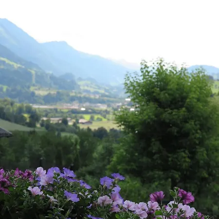 Haus Enzian Lägenhet Sankt Johann im Pongau